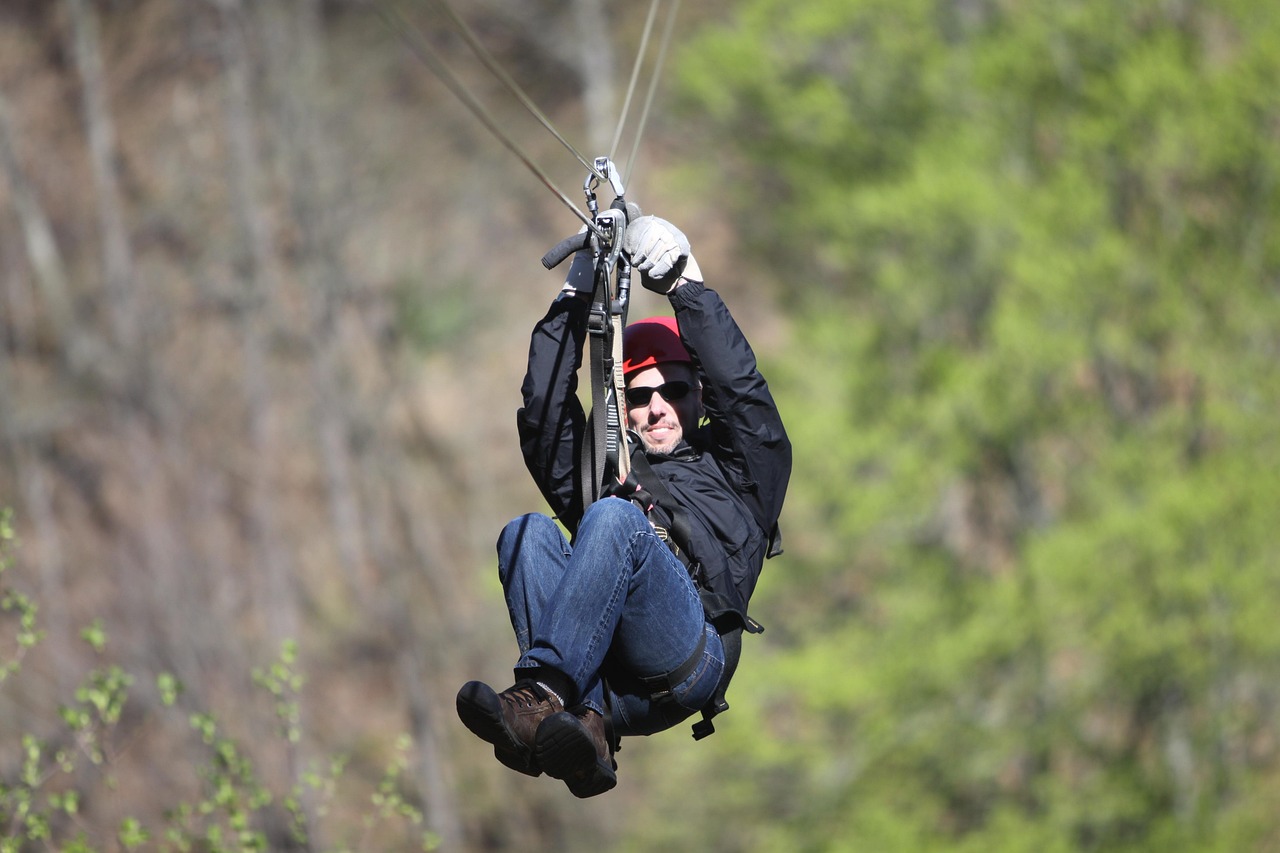 zip line, adventure, outdoor, zip line, zip line, zip line, zip line, zip line