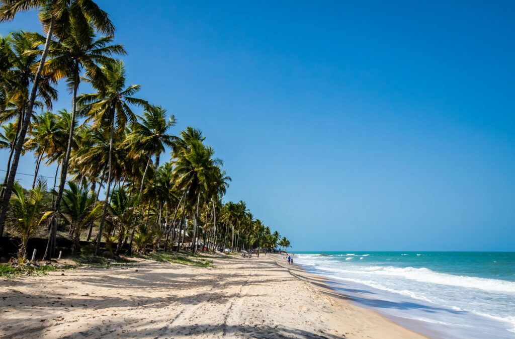 Stunning tropical beach in Coqueirinho, Brazil with palm trees and pristine coastline.