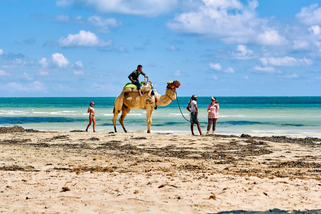 People enjoying a camel ride on a sunny beach with a clear blue sky and sea view.